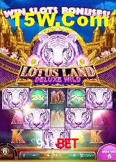 Casino Ao Vivo 911Bet
